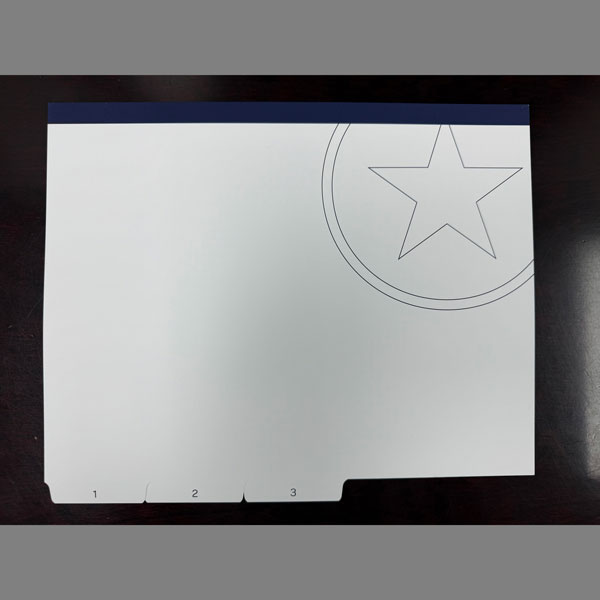 Show details for Pitchbook Tabs 1-3 and packed in sets of 20
