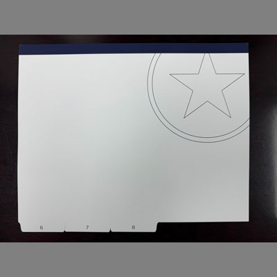 Show details for Pitchbook Tabs 6-8 and packed in sets of 20